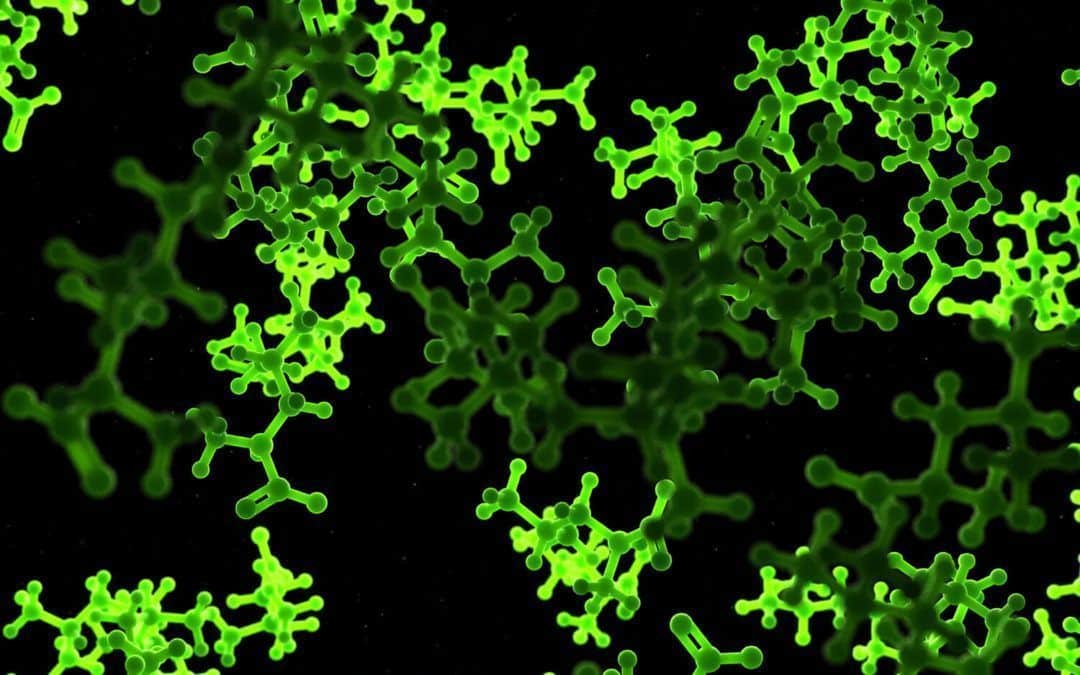 What are Amino Acids?