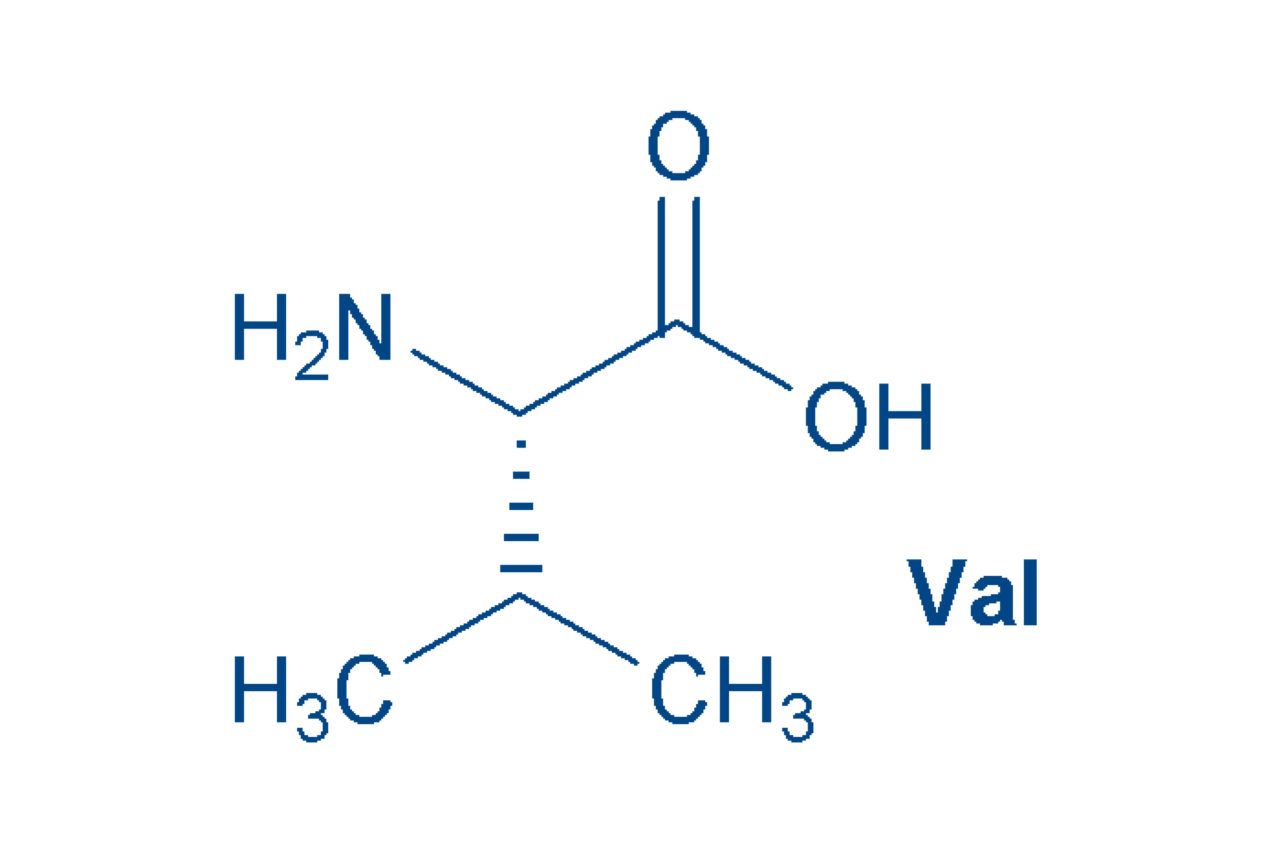 Chart of Amino Acids and its 20 proteinogenic amino acids