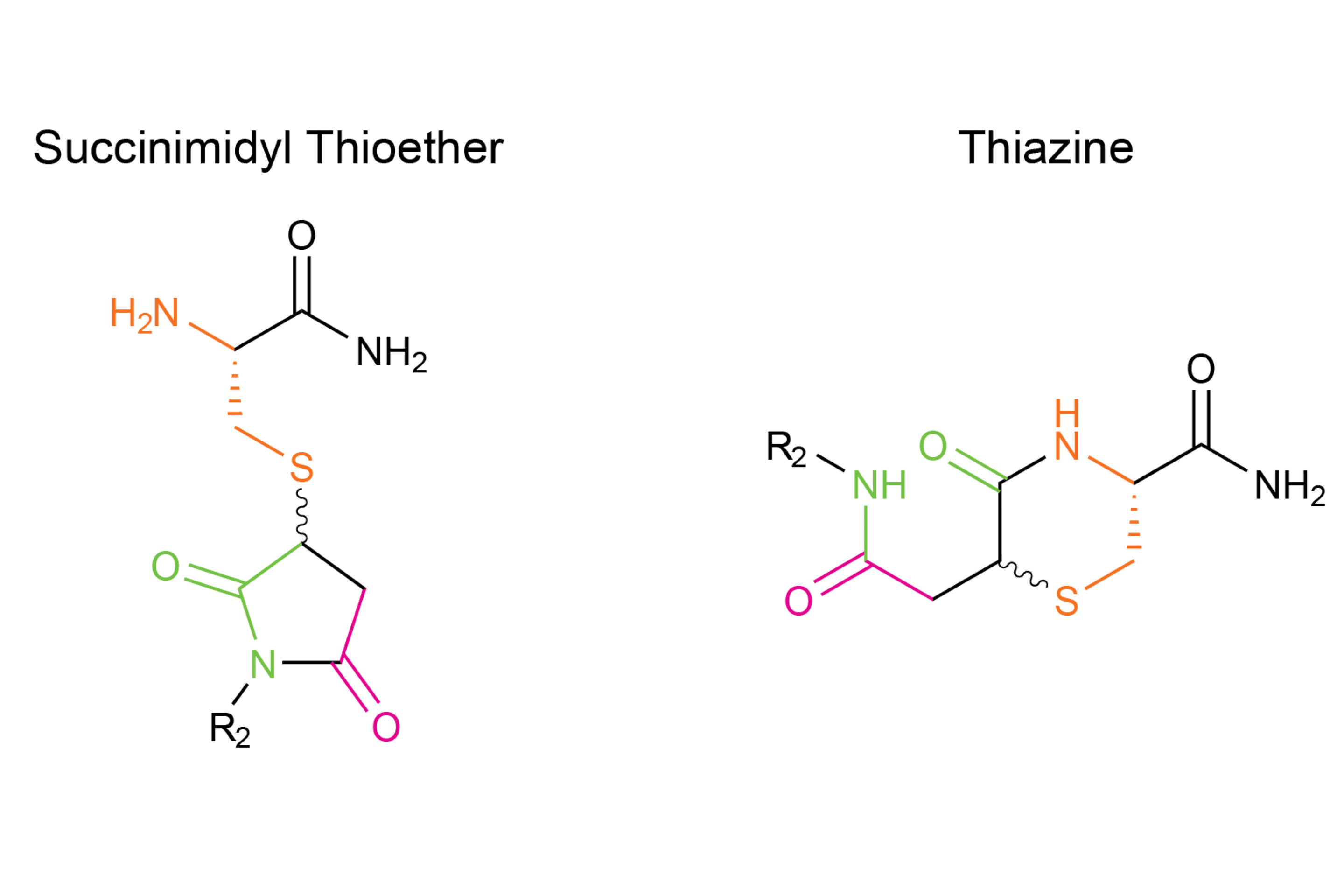 Structure Of Succinimidyl Thioether And Thiazine Impurity