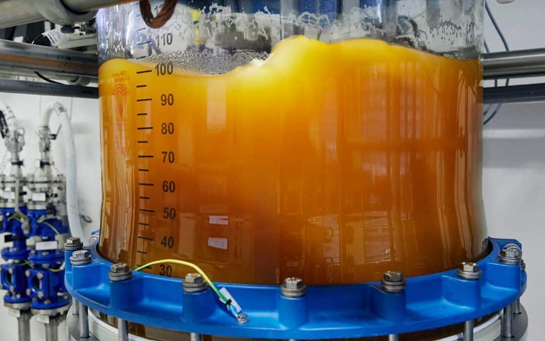 Solid Phase Peptide Synthesis (SPPS) explained